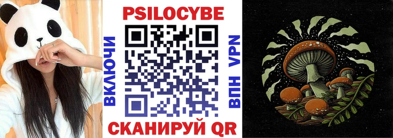 Купить  Камышин  Галлюциногенные грибы GOLDEN TEACHER 